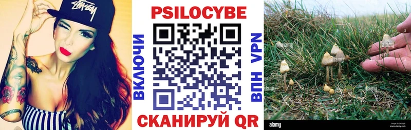 магазин продажи Элиста Псилоцибиновые грибы GOLDEN TEACHER