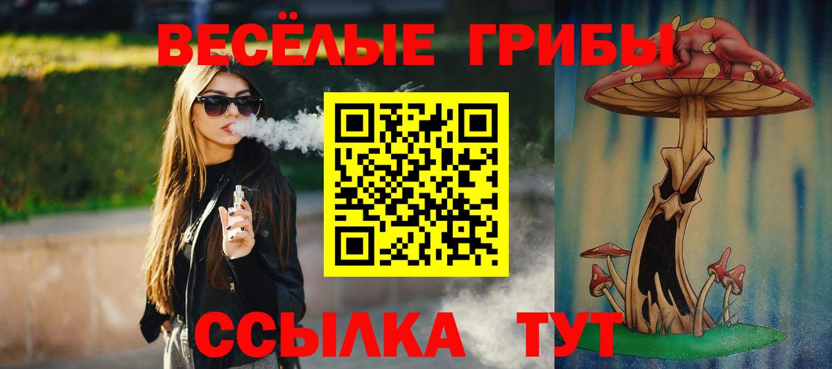 Галлюциногенные грибы мухоморы Элиста