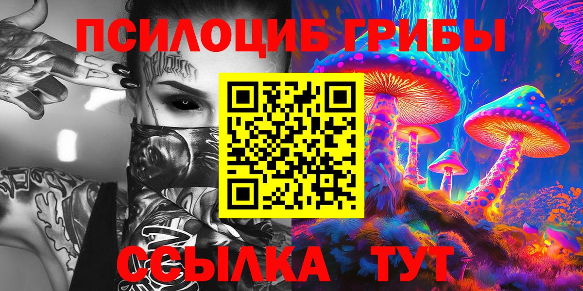 Элиста  Галлюциногенные грибы прущие грибы  Вход с VPN 